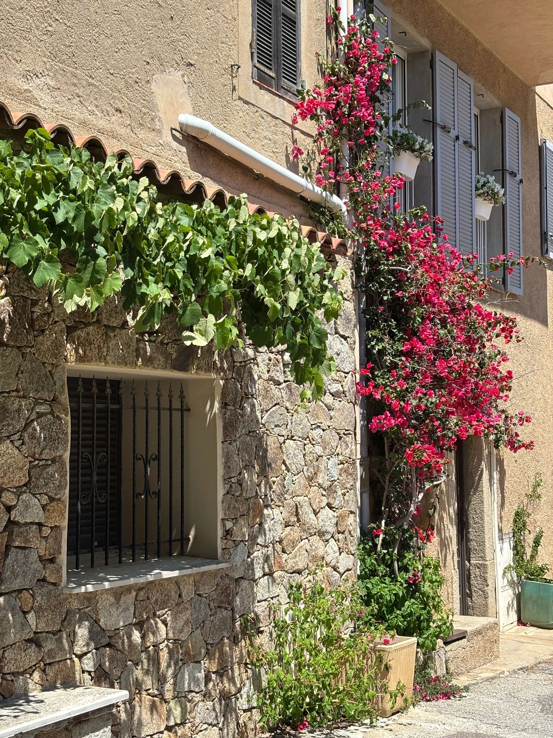 Façade en pierre d'une maison méditerranéenne avec fleurs roses et lierre verdoyant